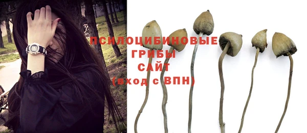 прущие грибы Алексеевка